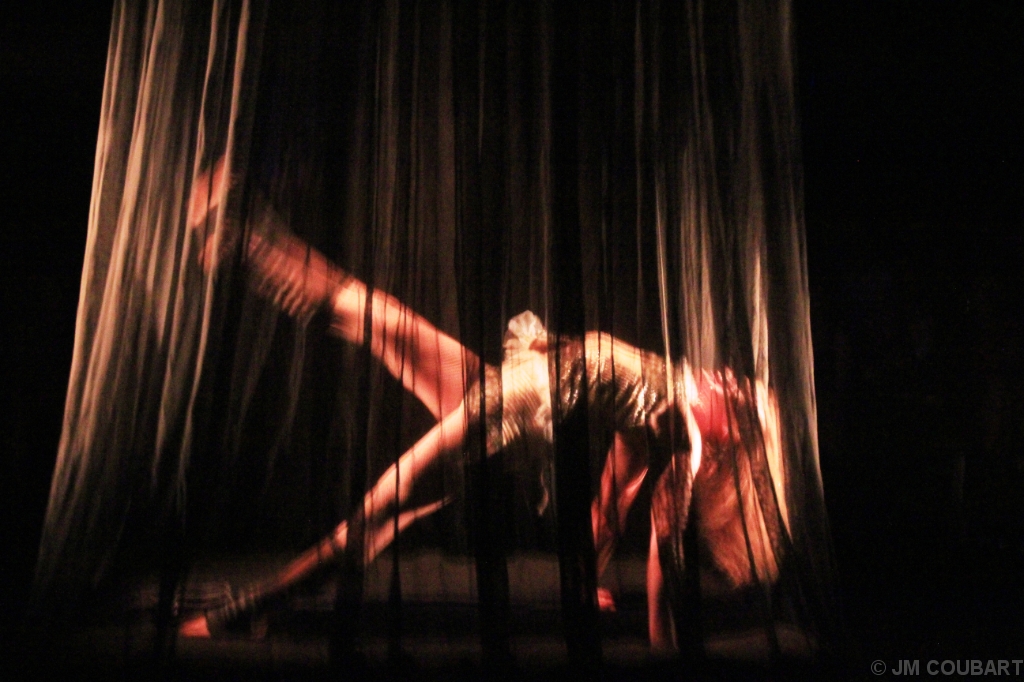 Diapositive suivante